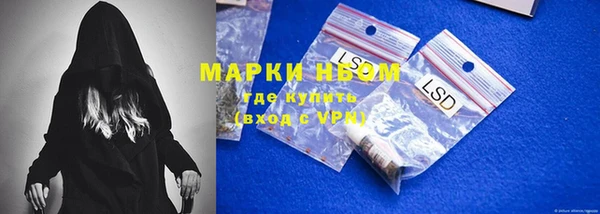 гашик Алексеевка