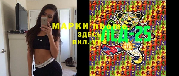 гашик Алексеевка