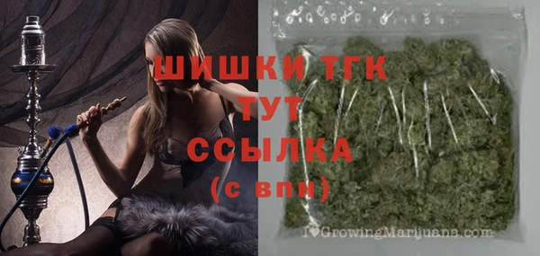 гашик Алексеевка