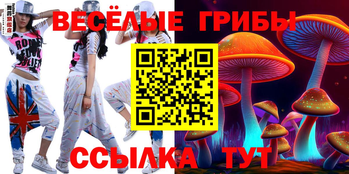 Галлюциногенные грибы Cubensis  Вход с VPN  Чапаевск  Галлюциногенные грибы Psilocybine cubensis 